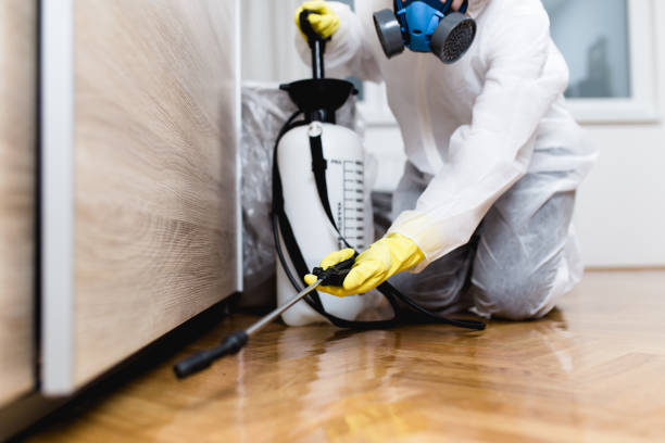 Best Pest Inspection Near Me  in Echelon, NJ