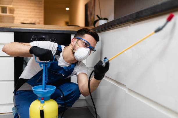 Best Local Pest Control Services  in Echelon, NJ
