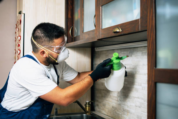 Best Wildlife Control Services  in Echelon, NJ