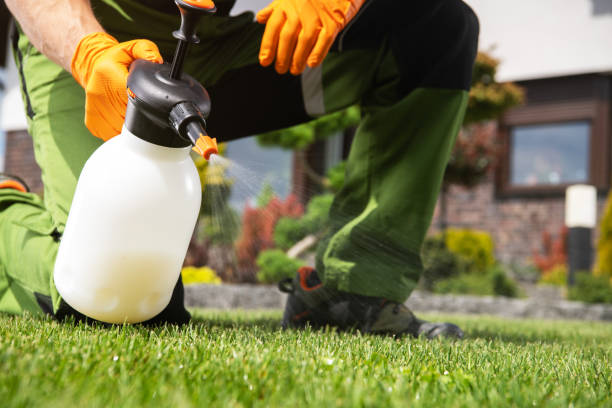 Best Insect Control  in Echelon, NJ
