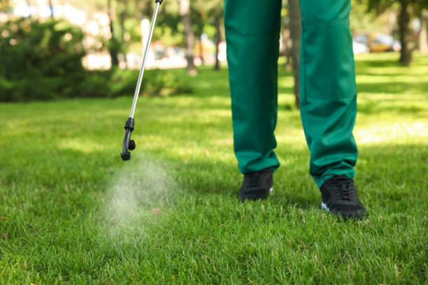 Best Best Pest Control Companies  in Echelon, NJ