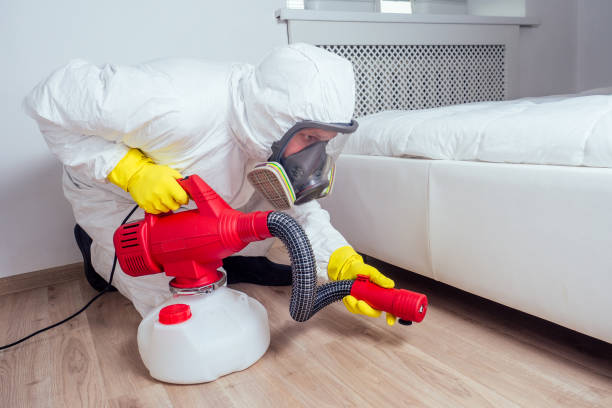 Best Mosquito Control Services  in Echelon, NJ
