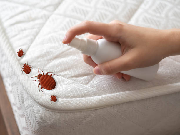 Best Pest Removal Services  in Echelon, NJ