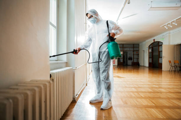 Best Insect Control  in Echelon, NJ