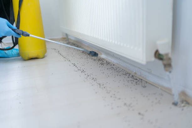 Best Residential Pest Control  in Echelon, NJ