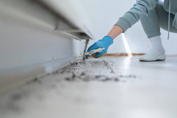 Best Exterminator Services  in Echelon, NJ