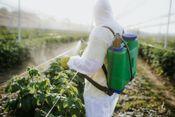 Best Emergency Pest Control  in Echelon, NJ